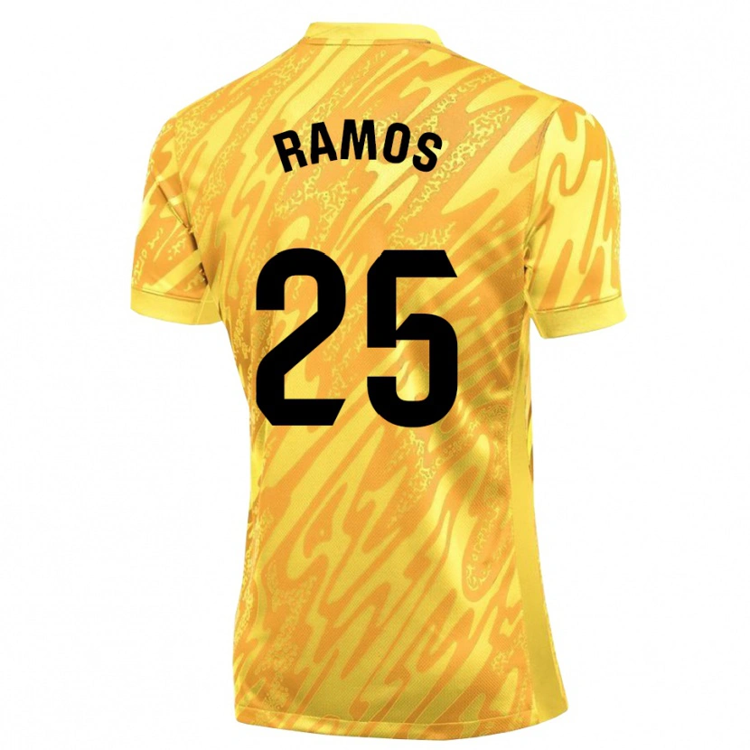 Danxen Criança Alejandro Ramos #25 Amarelo Preto Camisola Guarda-Redes 2025/26 Camisa Brasil