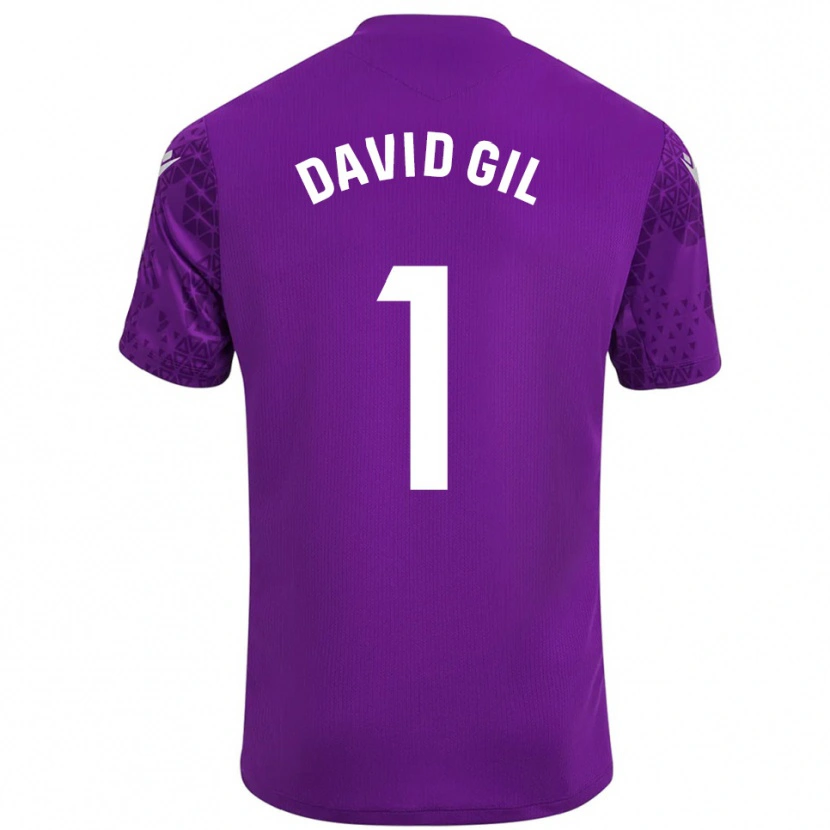 Danxen Criança David Gil #1 Roxo Escuro Branco Camisola Guarda-Redes 2025/26 Camisa Brasil