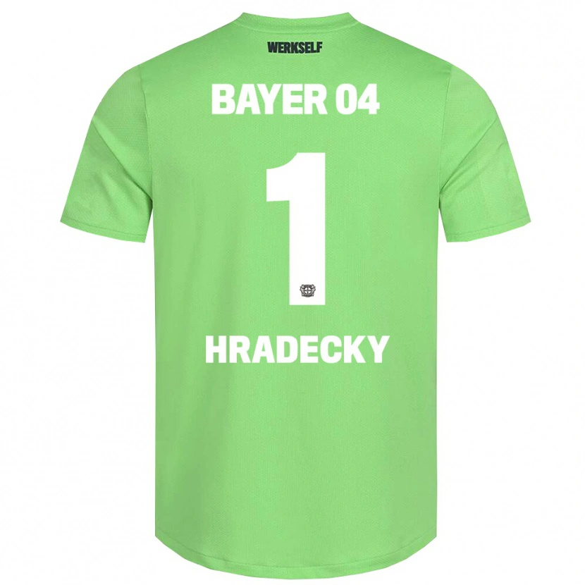 Danxen Criança Lukas Hradecky #1 Branco Verde Claro Camisola Guarda-Redes 2025/26 Camisa Brasil