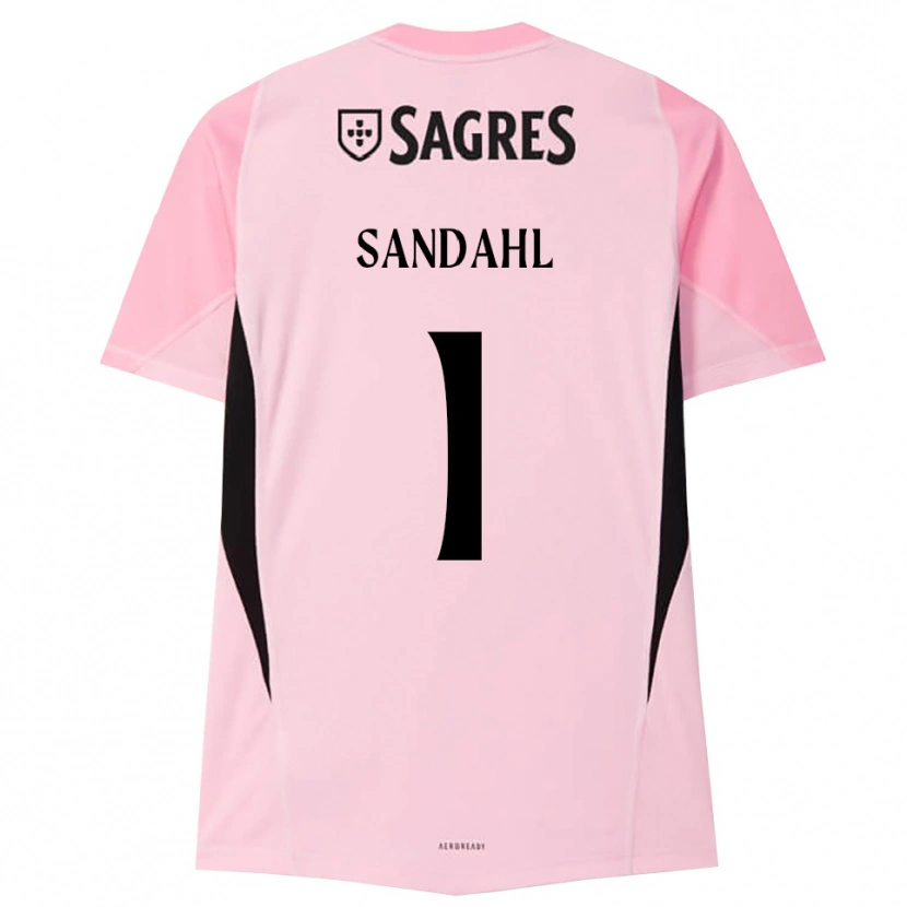 Danxen Criança Alexander Sandahl #1 Rosa Preto Camisola Guarda-Redes 2025/26 Camisa Brasil
