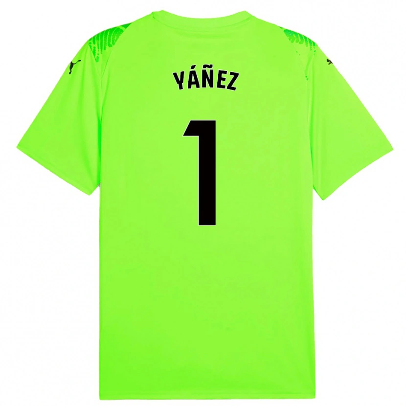 Danxen Criança Rubén Yáñez #1 Verde Grama Camisola Guarda-Redes 2025/26 Camisa Brasil