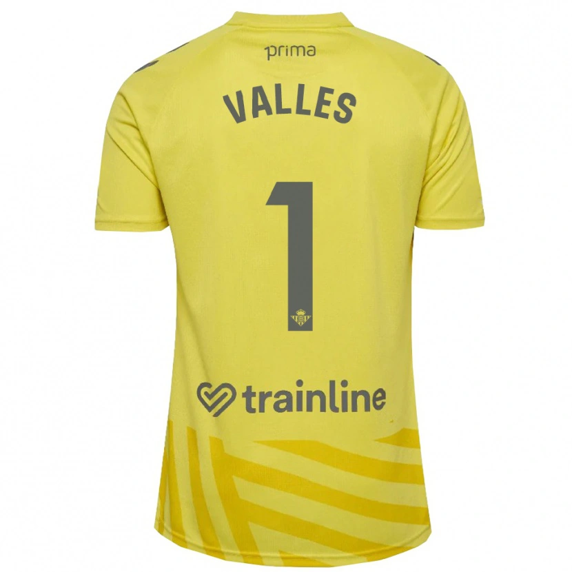 Danxen Homem Álvaro Valles #1 Amarelo Cinza Camisola Guarda-Redes 2025/26 Camisa Brasil