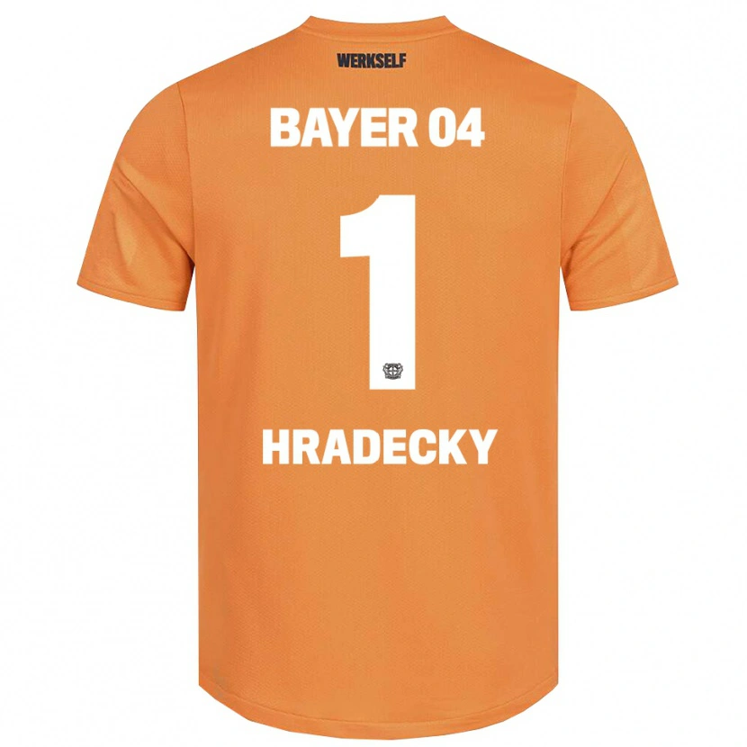 Danxen Homem Lukas Hradecky #1 Marrom Areia Camisola Guarda-Redes 2025/26 Camisa Brasil
