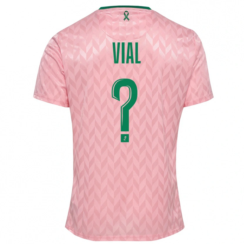 Danxen Homem Lorik Vial #0 Verde Rosa Camisola Guarda-Redes 2025/26 Camisa Brasil