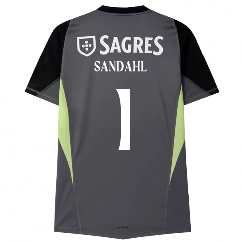 Danxen Homem Alexander Sandahl #1 Cinza Escuro Preto Camisola Guarda-Redes 2025/26 Camisa Brasil