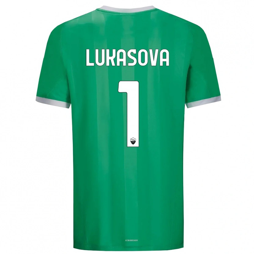 Danxen Homem Olivie Lukášová #1 Branco Verde Camisola Guarda-Redes 2025/26 Camisa Brasil