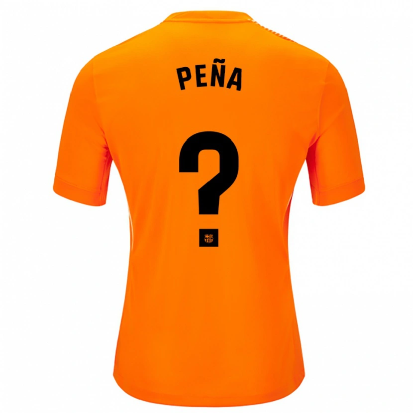 Danxen Homem Pablo Peña #0 Laranja Preto Camisola Guarda-Redes 2025/26 Camisa Brasil