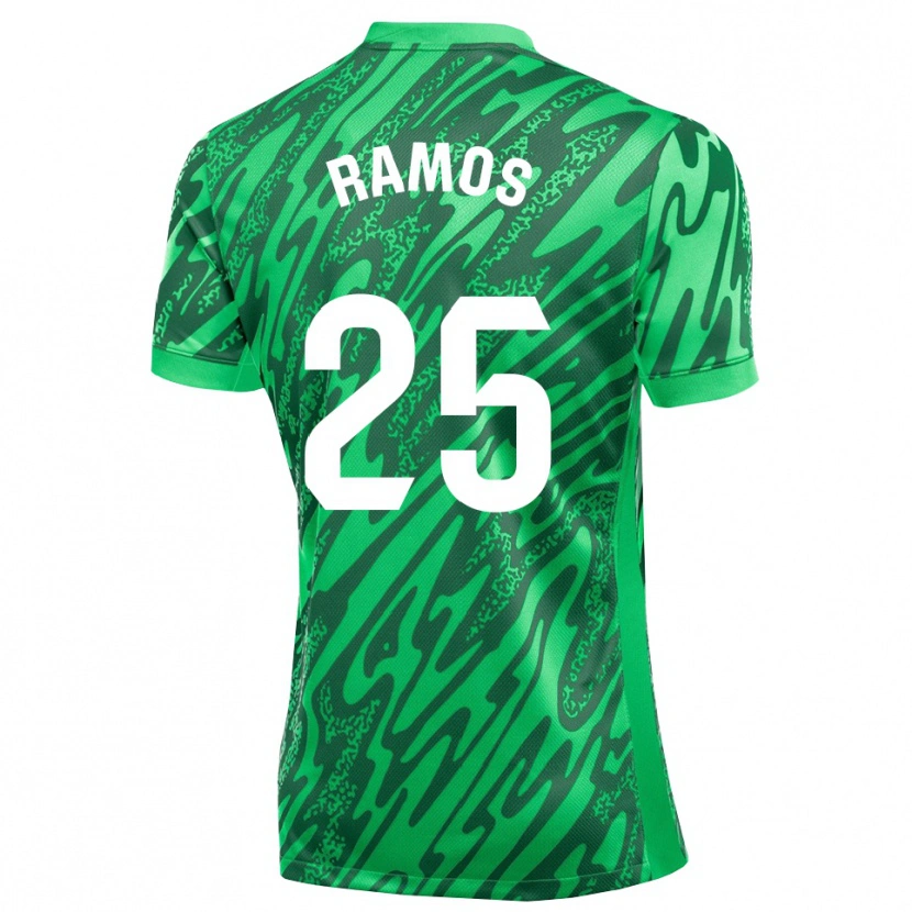 Danxen Homem Alejandro Ramos #25 Verde Escuro Branco Camisola Guarda-Redes 2025/26 Camisa Brasil
