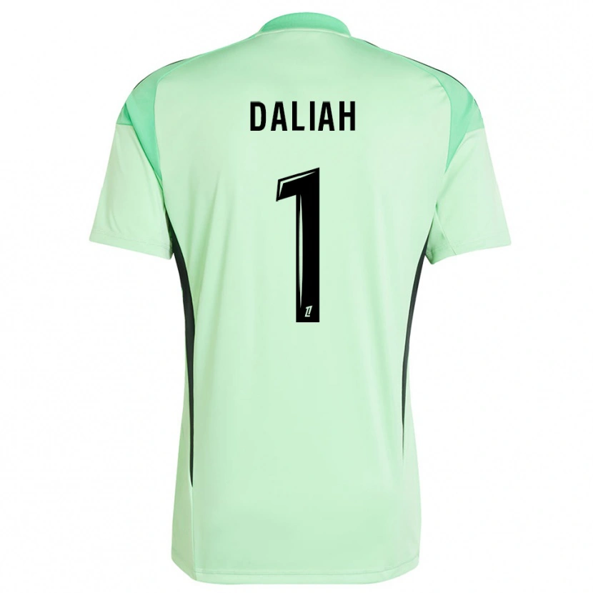 Danxen Homem Leny Daliah #1 Verde Claro Preto Camisola Guarda-Redes 2025/26 Camisa Brasil