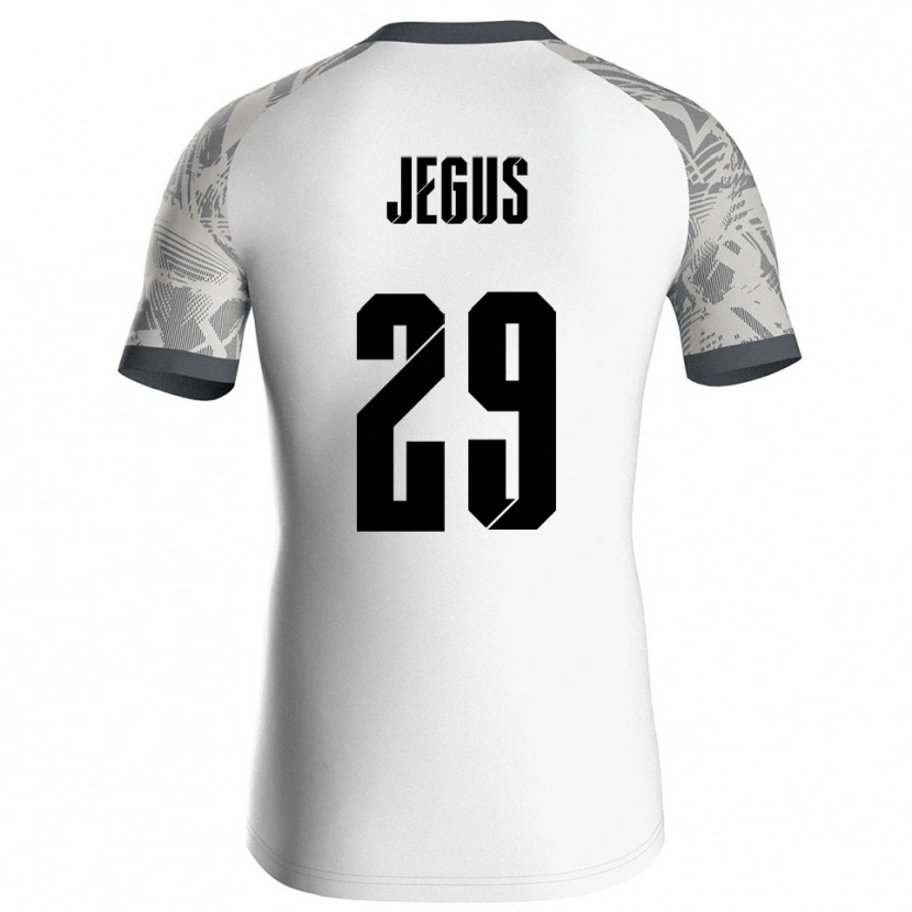 Danxen Mulher Leonard Jegus #29 Cinza Branco Camisola Guarda-Redes 2025/26 Camisa Brasil