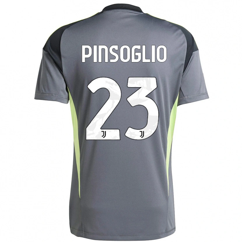 Danxen Mulher Carlo Pinsoglio #23 Cinza Escuro Branco Camisola Guarda-Redes 2025/26 Camisa Brasil