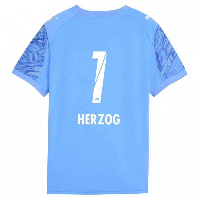 Danxen Mulher Elvira Herzog #1 Azul Real Vermelho Camisola Guarda-Redes 2025/26 Camisa Brasil