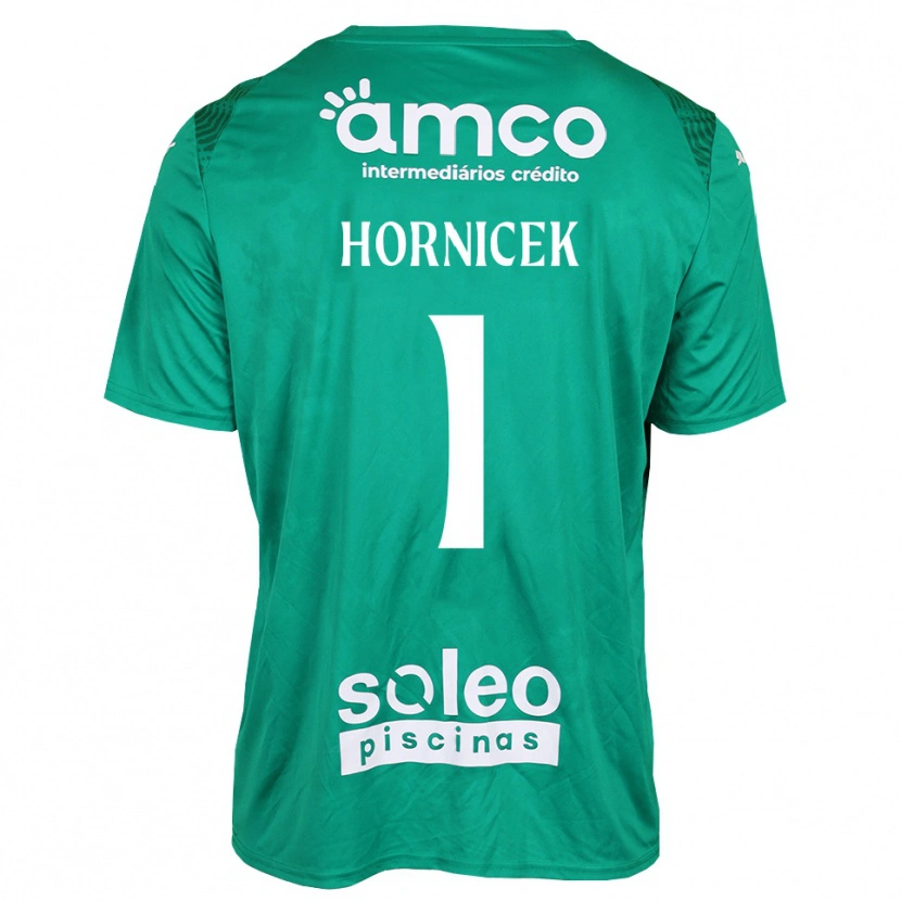 Danxen Mulher Lukas Hornicek #1 Verde Branco Camisola Guarda-Redes 2025/26 Camisa Brasil