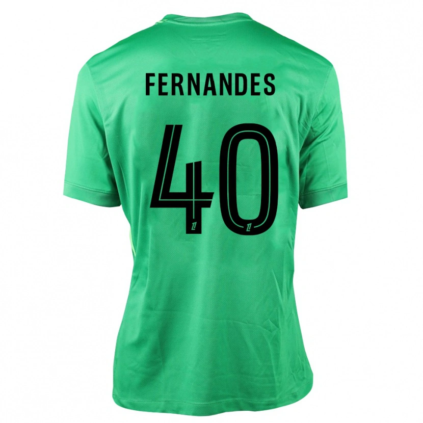 Danxen Mulher Alyssa Fernandes #40 Verde Preto Camisola Guarda-Redes 2025/26 Camisa Brasil