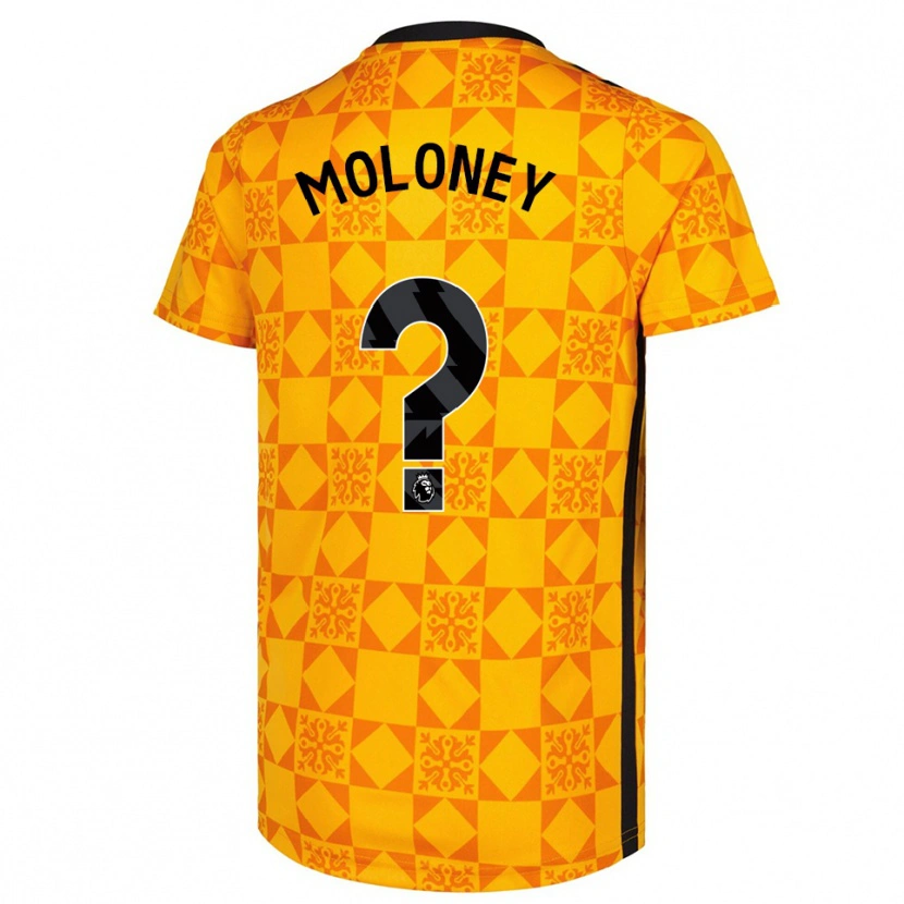 Danxen Mulher Grace Moloney #0 Amarelo Preto Camisola Guarda-Redes 2025/26 Camisa Brasil