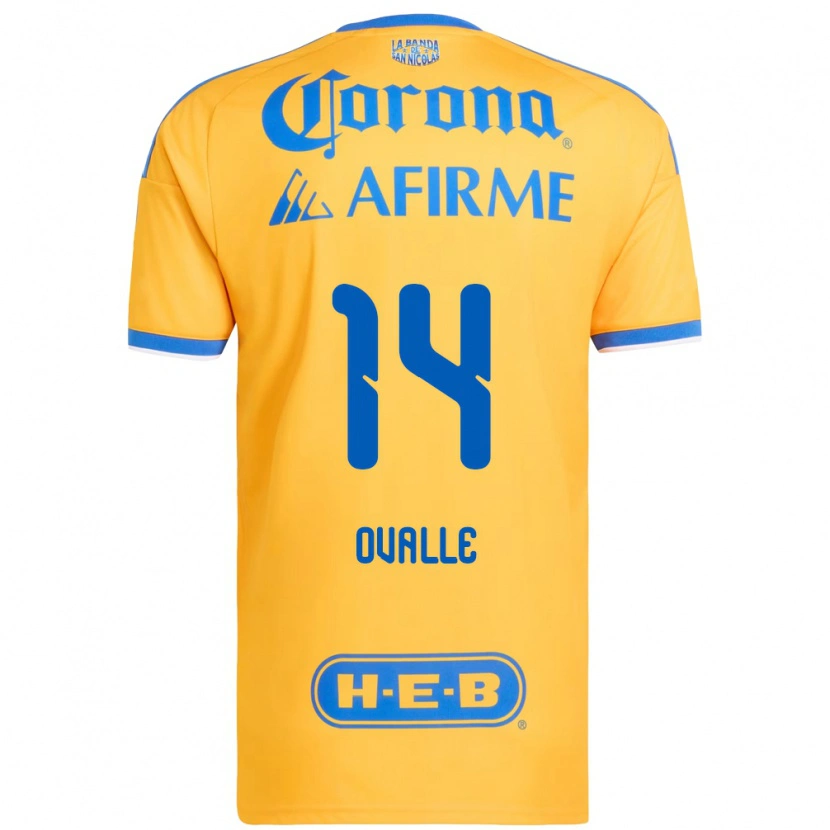 Danxen Criança Camisola Lizbeth Ovalle #14 Amarelo Azul Principal 2026/27 Camisa Brasil