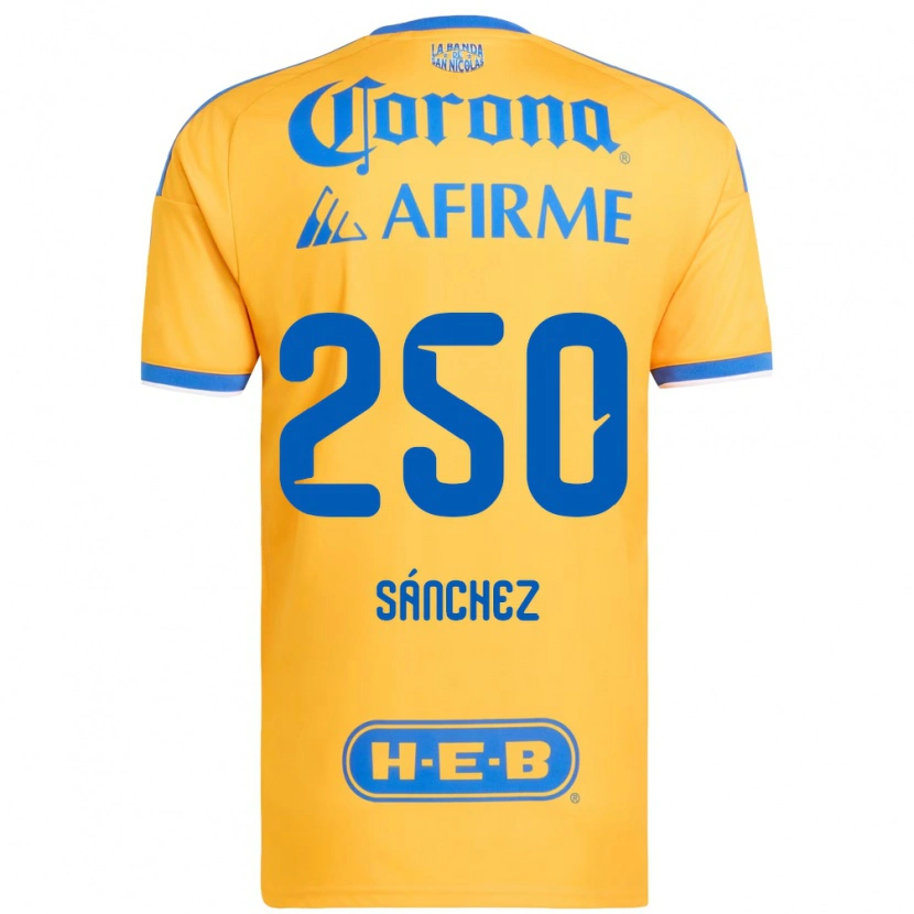 Danxen Criança Camisola Fernando Sánchez #250 Amarelo Azul Principal 2026/27 Camisa Brasil