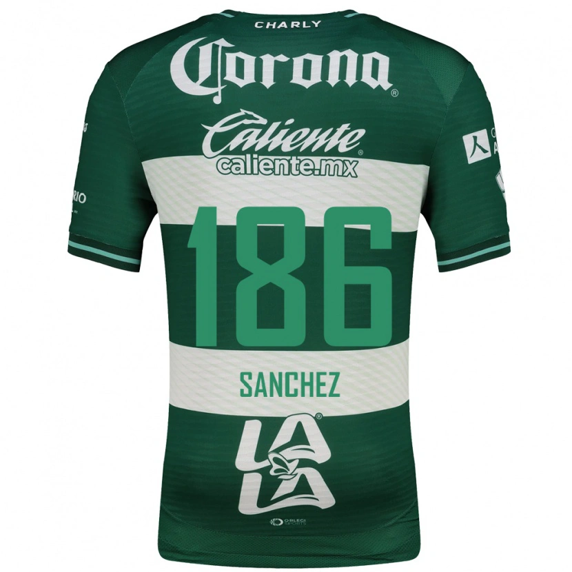 Danxen Criança Camisola David Sánchez #186 Verde Branco Principal 2026/27 Camisa Brasil