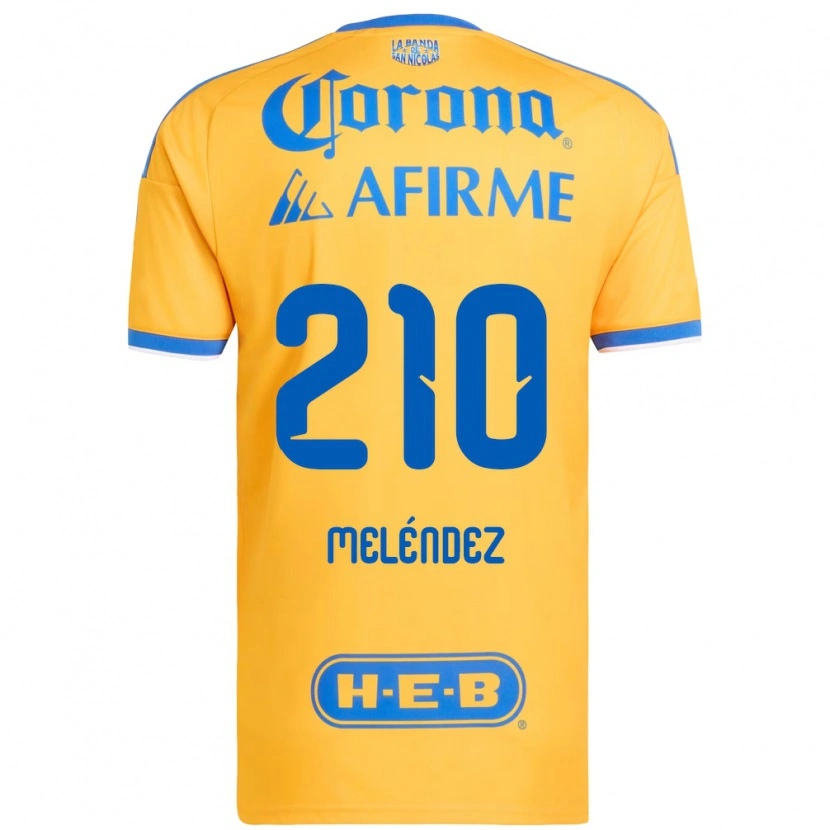 Danxen Homem Camisola Marcelo Meléndez #210 Amarelo Azul Principal 2026/27 Camisa Brasil