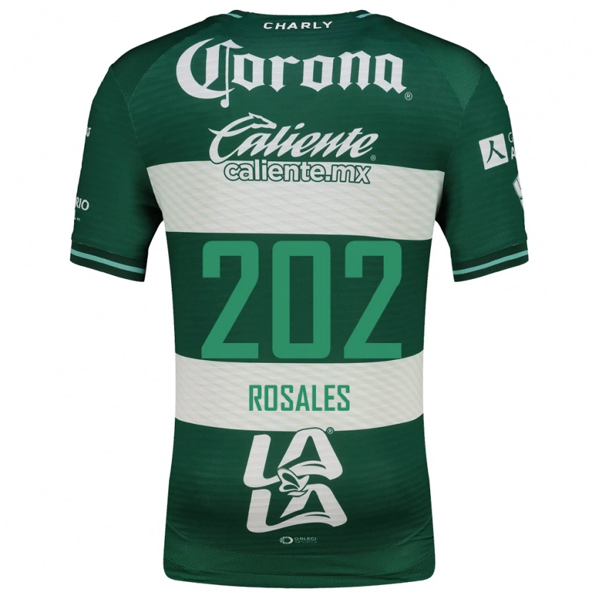 Danxen Homem Camisola Luis Rosales #202 Verde Branco Principal 2026/27 Camisa Brasil