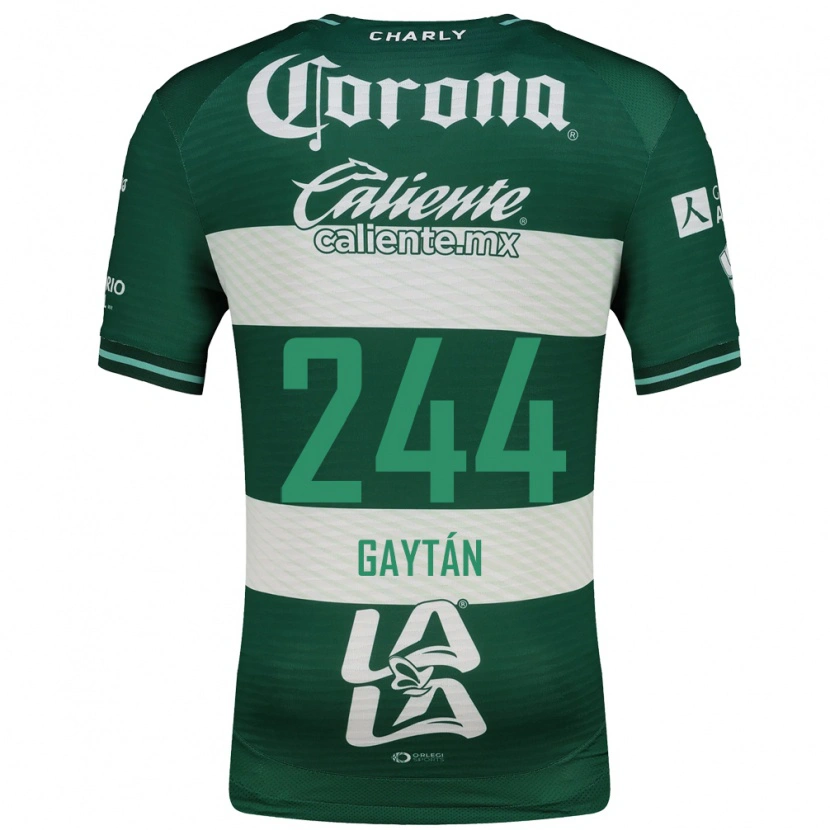 Danxen Homem Camisola Axel Gaytán #244 Verde Branco Principal 2026/27 Camisa Brasil