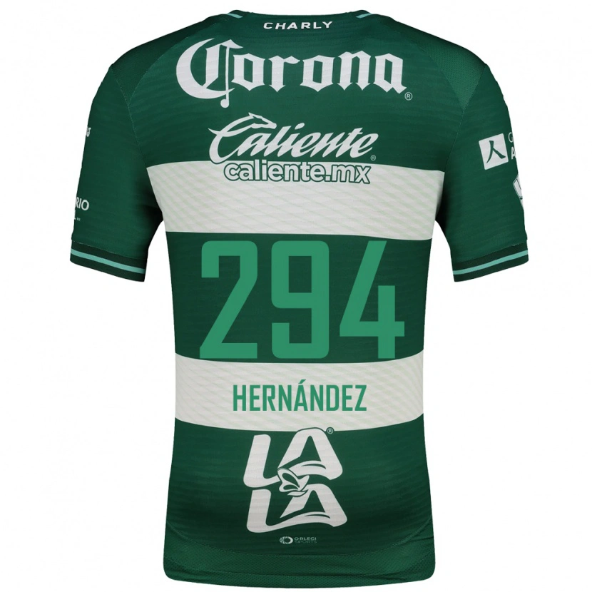 Danxen Homem Camisola Matías Hernández #294 Verde Branco Principal 2026/27 Camisa Brasil