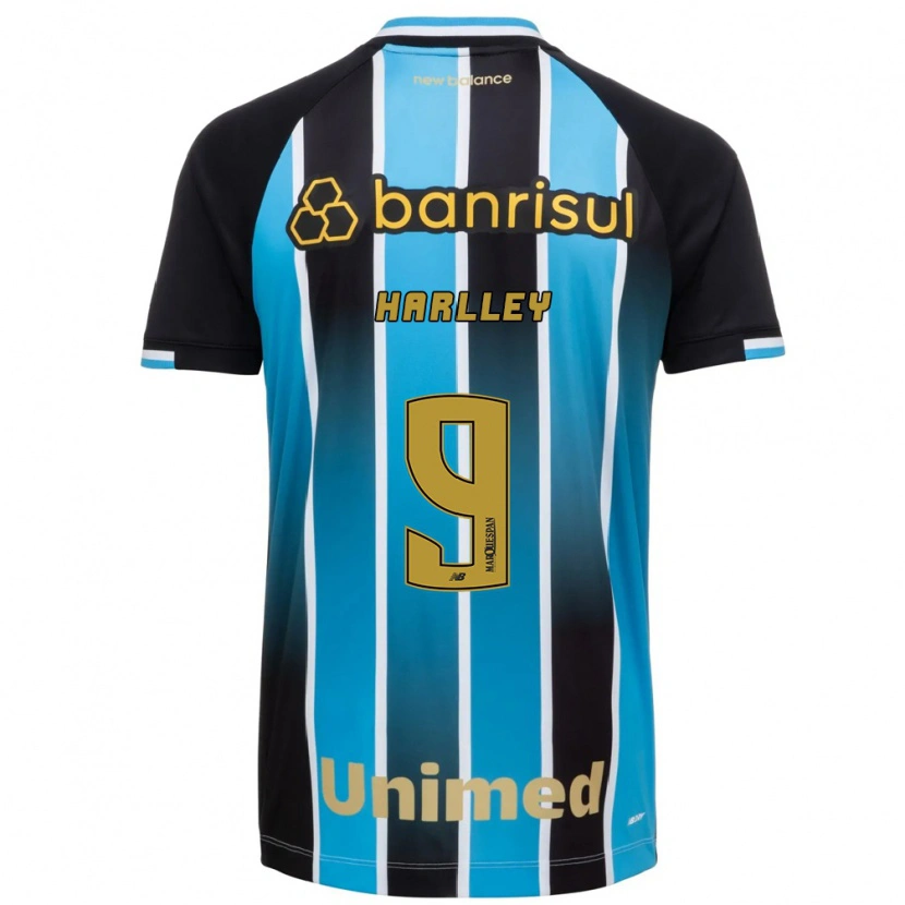 Danxen Homem Camisola Harlley Hanry Nascimento De Vasconcelos #9 Azul Marrom Preto Principal 2026/27 Camisa Brasil