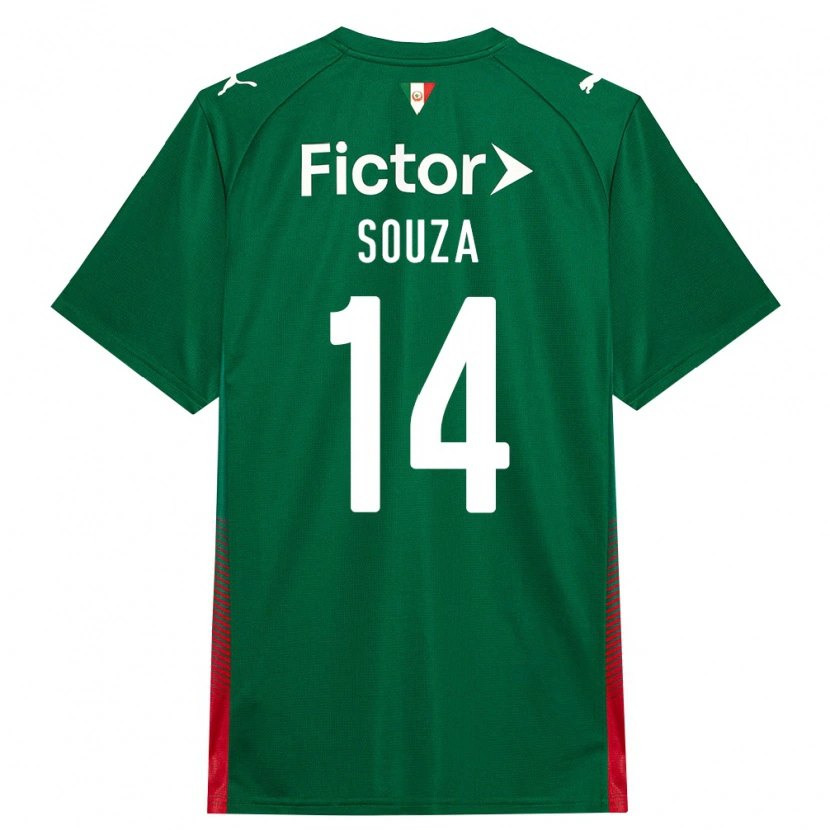Danxen Homem Camisola Luiz Fernando #14 Verde Vermelho Branco Principal 2026/27 Camisa Brasil
