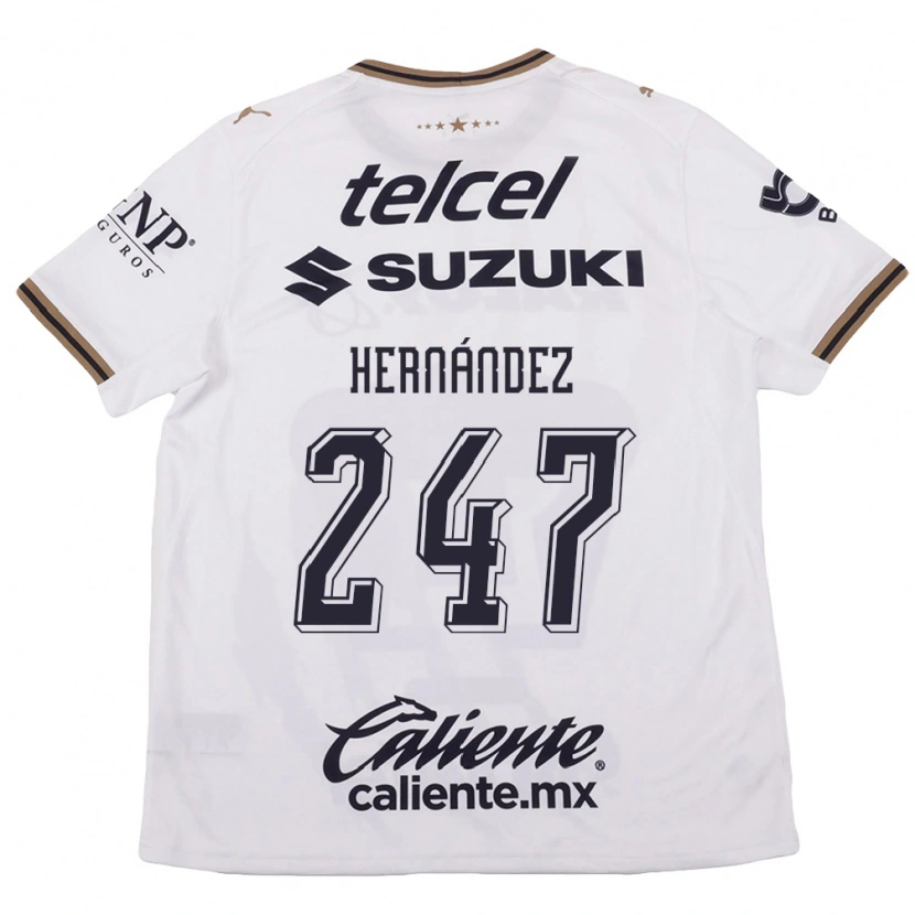 Danxen Homem Camisola Oswaldo Hernández #247 Branco Preto Marrom Alternativa 2026/27 Camisa Brasil