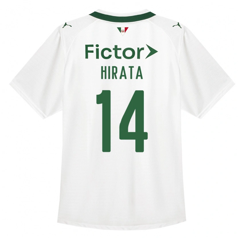 Danxen Homem Camisola Bruna Hirata #14 Verde Branco Alternativa 2026/27 Camisa Brasil
