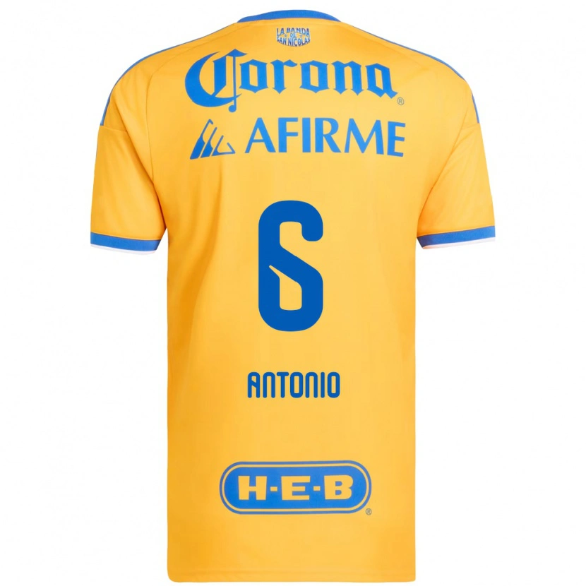 Danxen Mulher Camisola Nancy Antonio #6 Amarelo Azul Principal 2026/27 Camisa Brasil