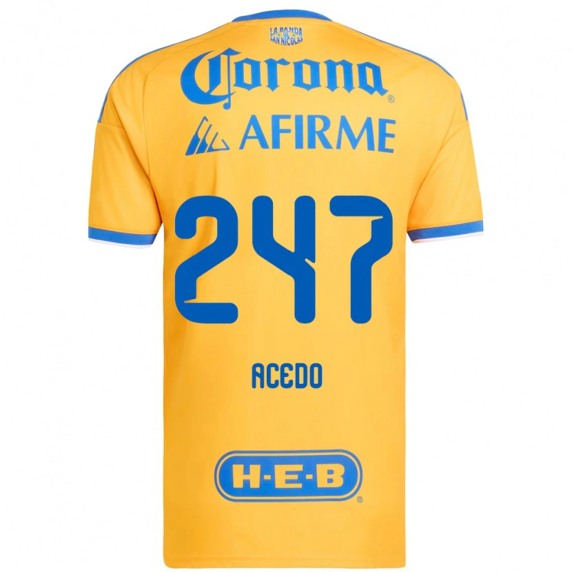 Danxen Mulher Camisola Kevin Acedo #247 Amarelo Azul Principal 2026/27 Camisa Brasil