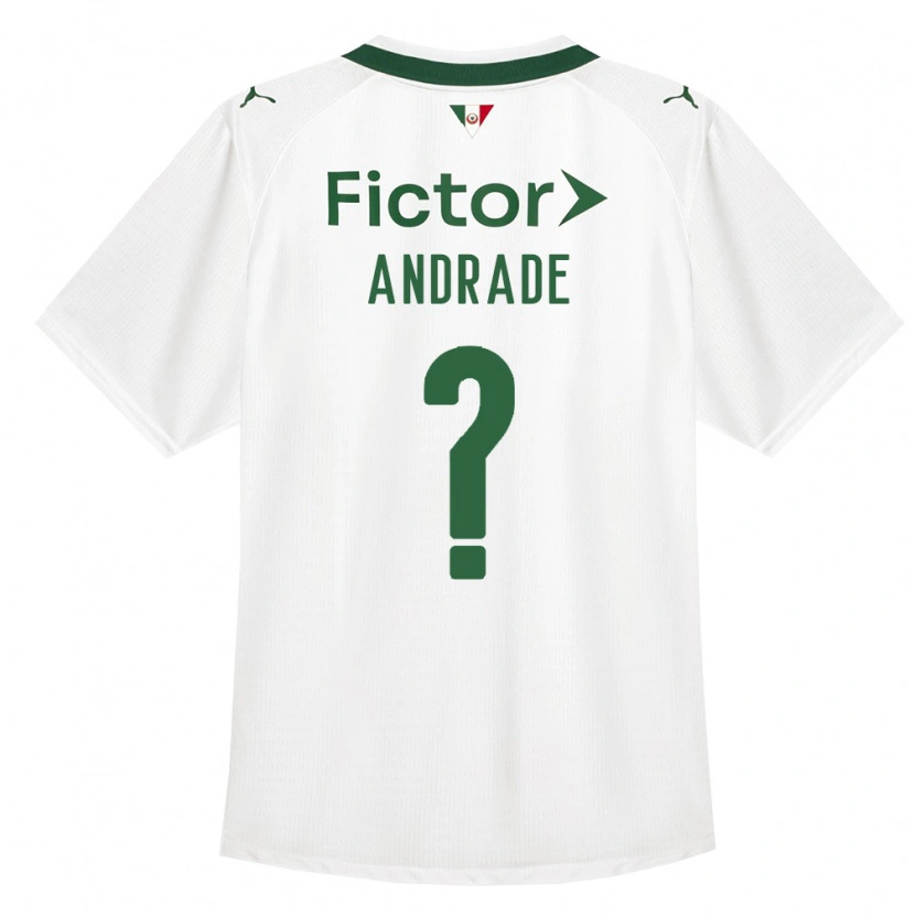 Danxen Mulher Camisola Deivid Andrade #0 Verde Branco Alternativa 2026/27 Camisa Brasil