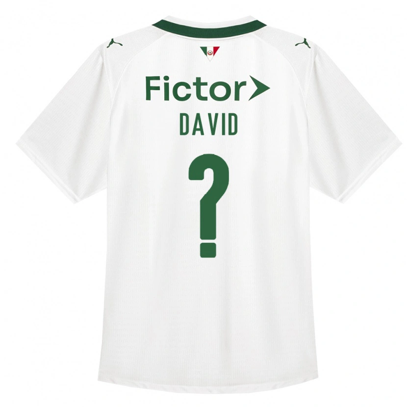 Danxen Mulher Camisola David #0 Verde Branco Alternativa 2026/27 Camisa Brasil