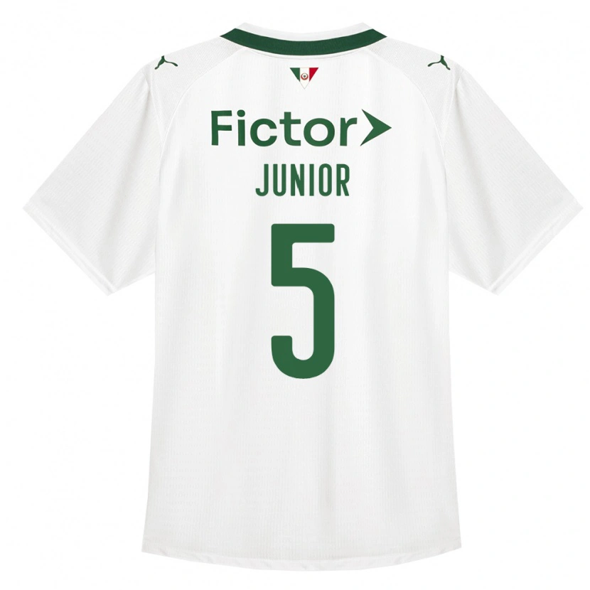 Danxen Mulher Camisola Amilton Junior #5 Verde Branco Alternativa 2026/27 Camisa Brasil