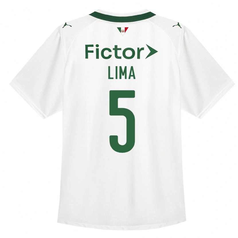 Danxen Mulher Camisola Ingryd Lima #5 Verde Branco Alternativa 2026/27 Camisa Brasil