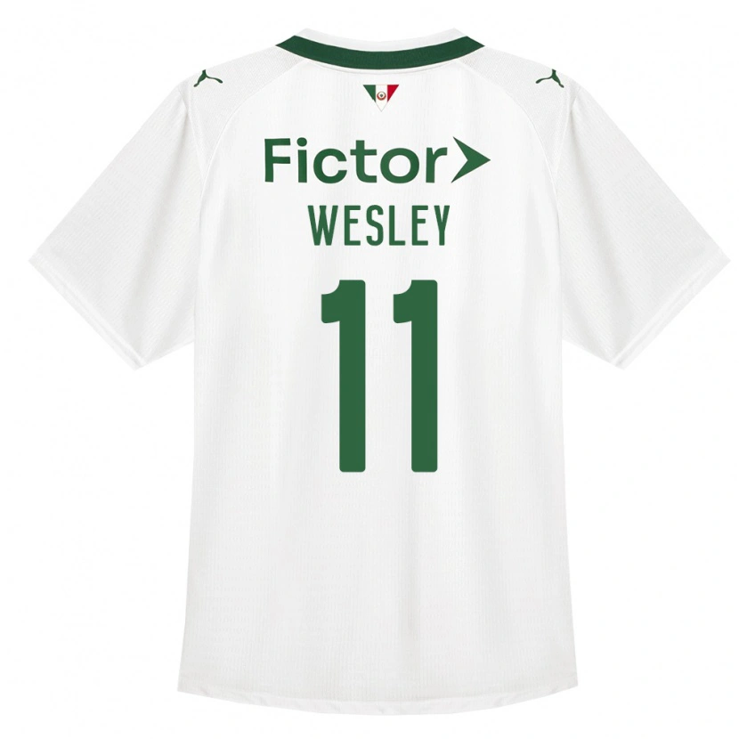 Danxen Mulher Camisola Wesley #11 Verde Branco Alternativa 2026/27 Camisa Brasil