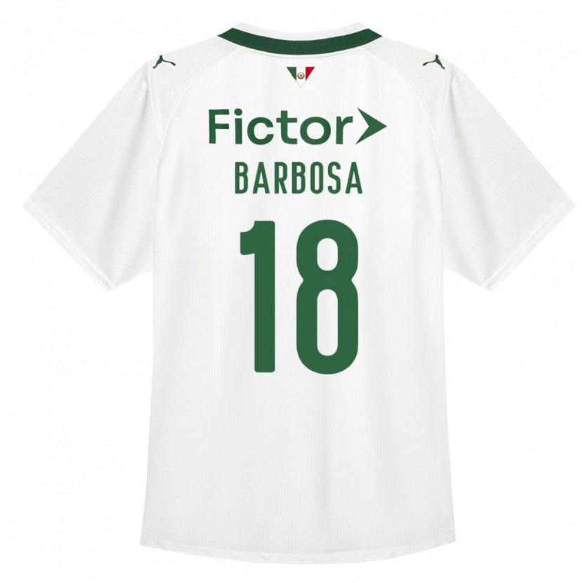 Danxen Mulher Camisola Danilo Barbosa #18 Verde Branco Alternativa 2026/27 Camisa Brasil