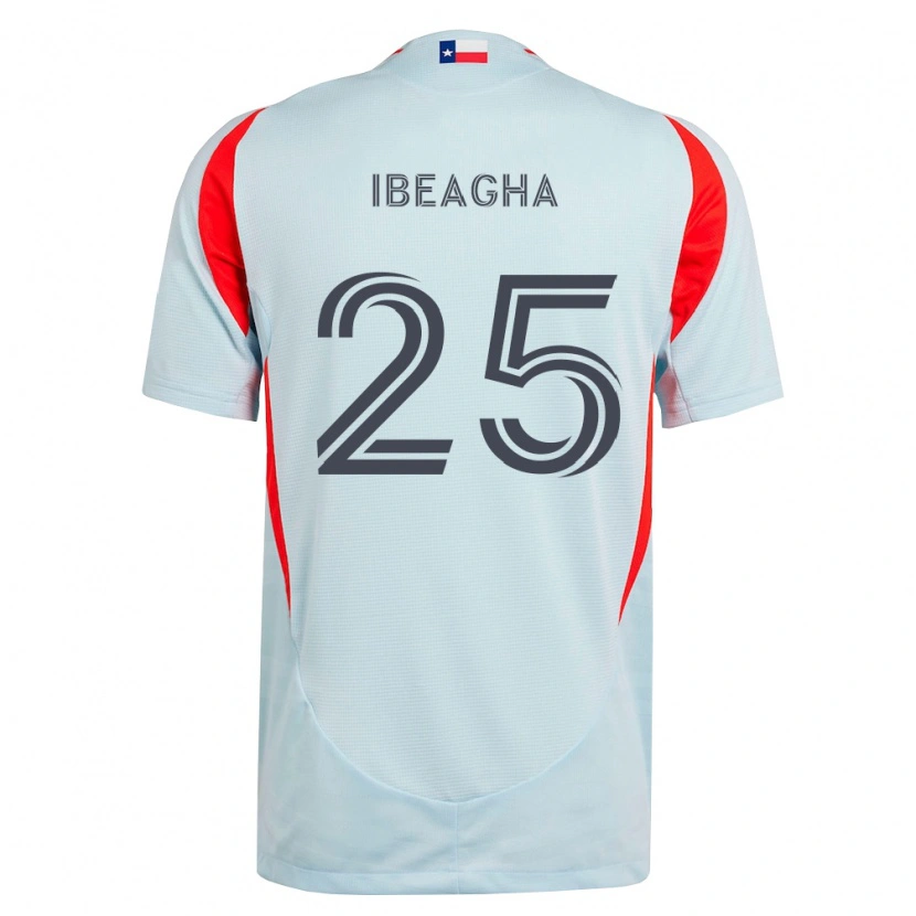Danxen Criança Camisola Sebastien Ibeagha #25 Cinza Escuro Branco Vermelho Alternativa 2026/27 Camisa Brasil