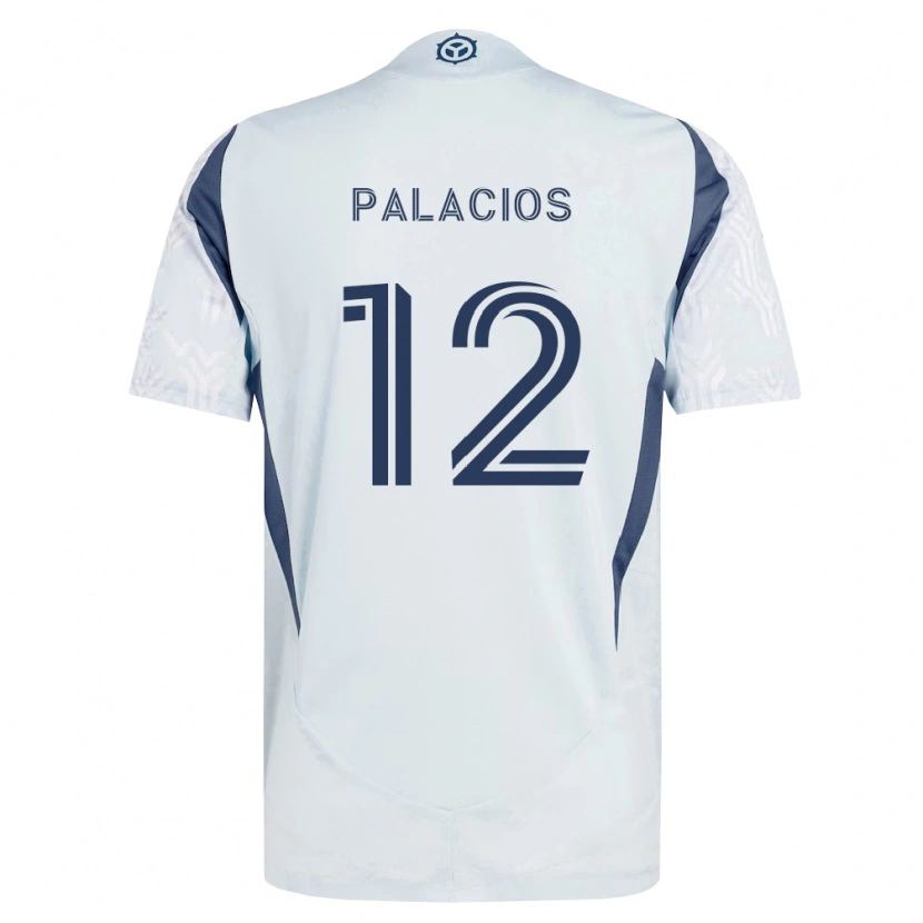 Danxen Homem Camisola Denzel Palacios #12 Azul Branco Cinza Alternativa 2026/27 Camisa Brasil
