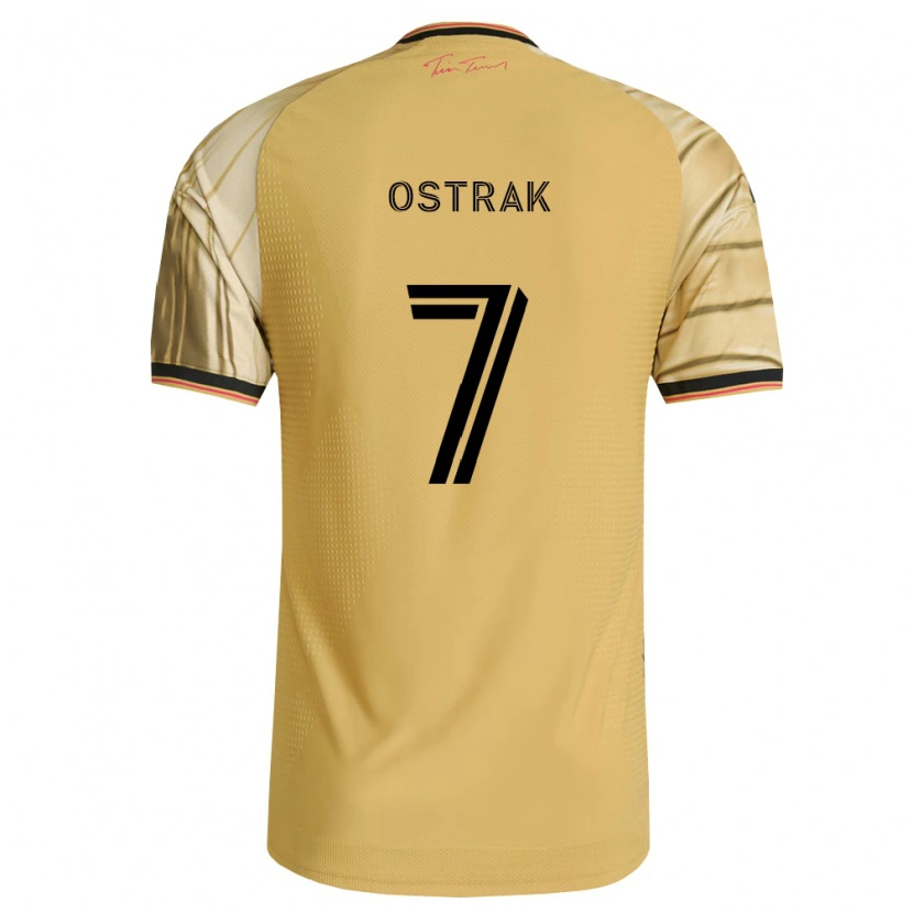 Danxen Homem Camisola Tomas Ostrák #7 Marrom Amarelo Preto Alternativa 2026/27 Camisa Brasil