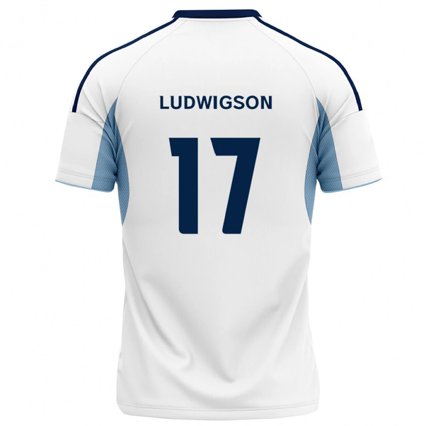 Danxen Mulher Camisola Gustav Ludwigson #17 Azul Real Branco Alternativa 2026/27 Camisa Brasil