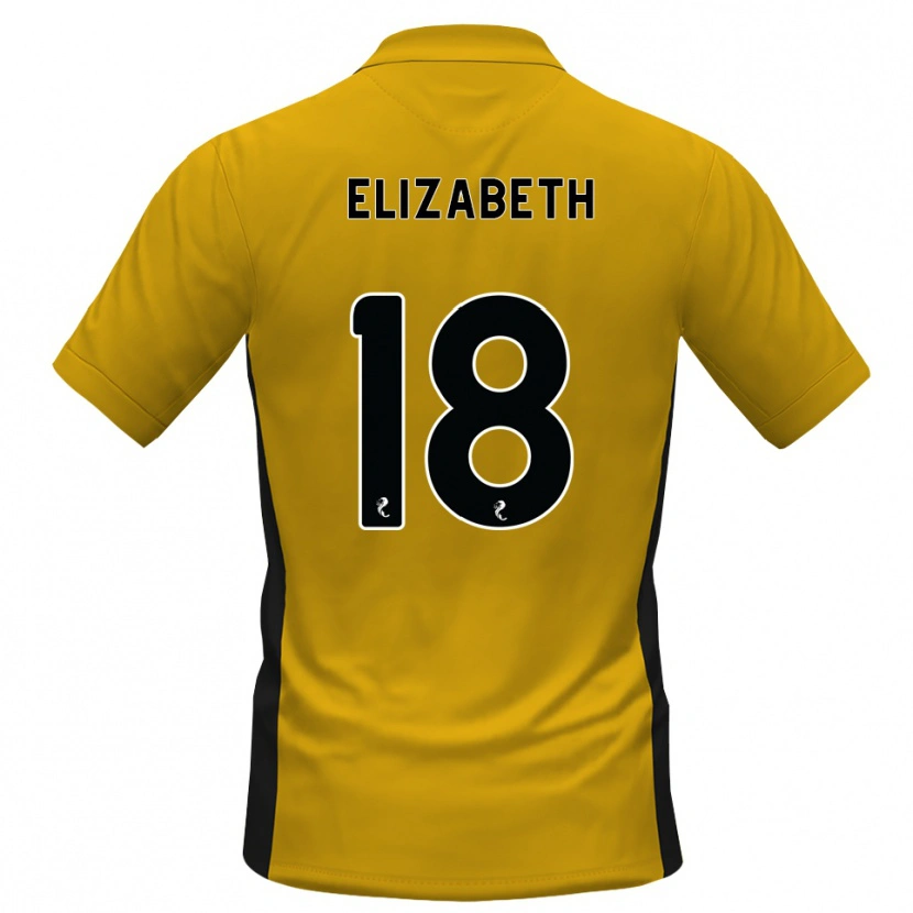 Danxen Criança Camisola Ashley Elizabeth #18 Laranja Preto Principal 2026/27 Camisa Brasil