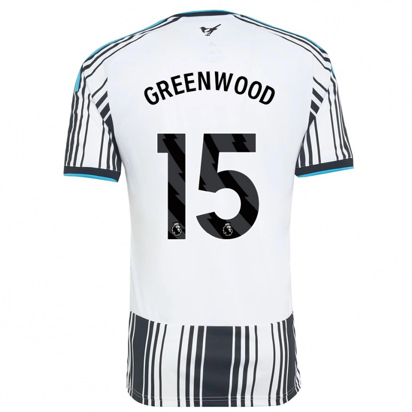 Danxen Mulher Camisola Hannah Greenwood #15 Skyblue Preto Branco Principal 2026/27 Camisa Brasil