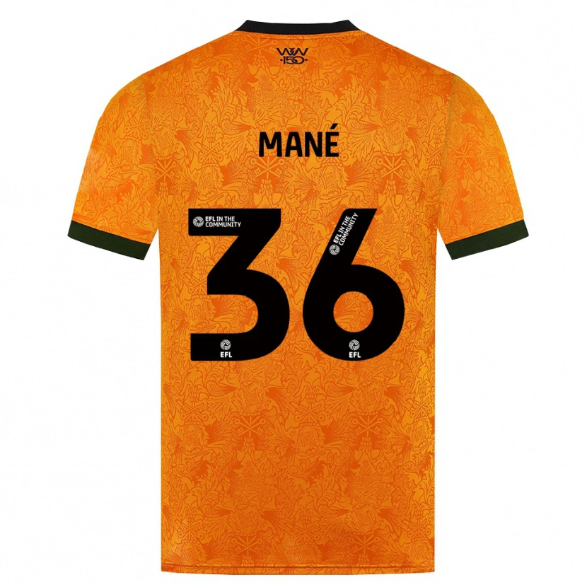Danxen Mulher Camisola Mateus Mané #36 Laranja Preto Principal 2026/27 Camisa Brasil