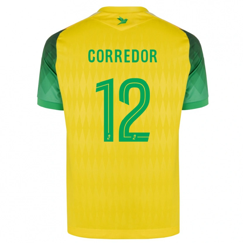 Danxen Criança Camisola Killian Corredor #12 Amarelo Verde Vermelho Principal 2026/27 Camisa Brasil