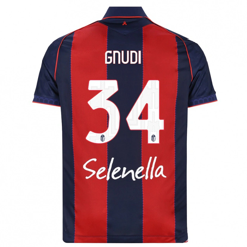 Danxen Criança Camisola Riccardo Gnudi #34 Azul Real Vermelho Branco Principal 2026/27 Camisa Brasil