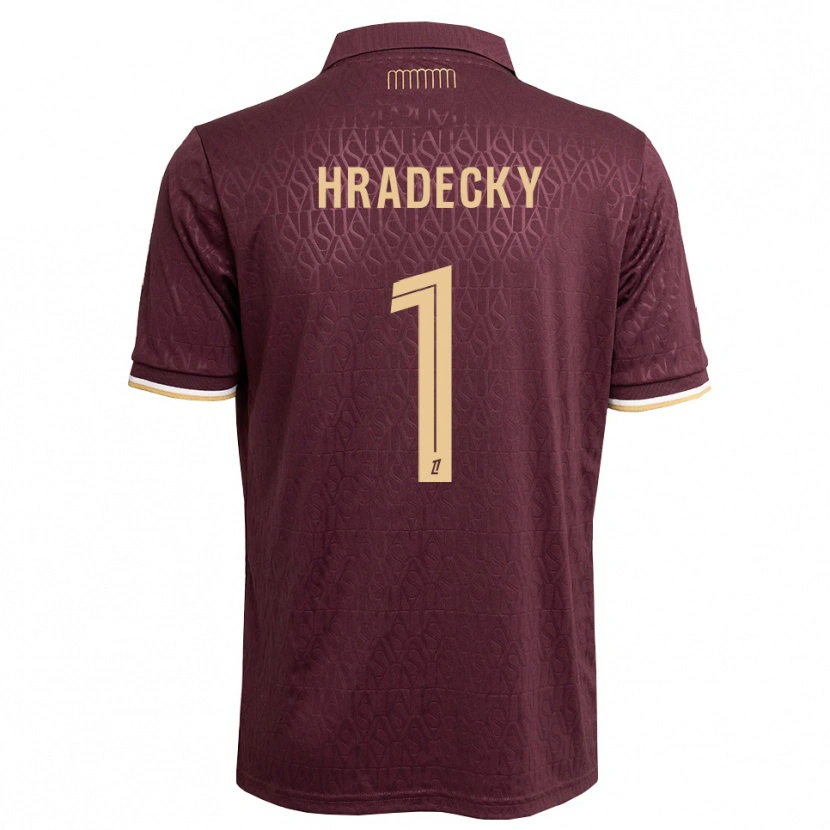 Danxen Criança Camisola Lukas Hradecky #1 Marrom Areia De Castanha Alternativa 2026/27 Camisa Brasil