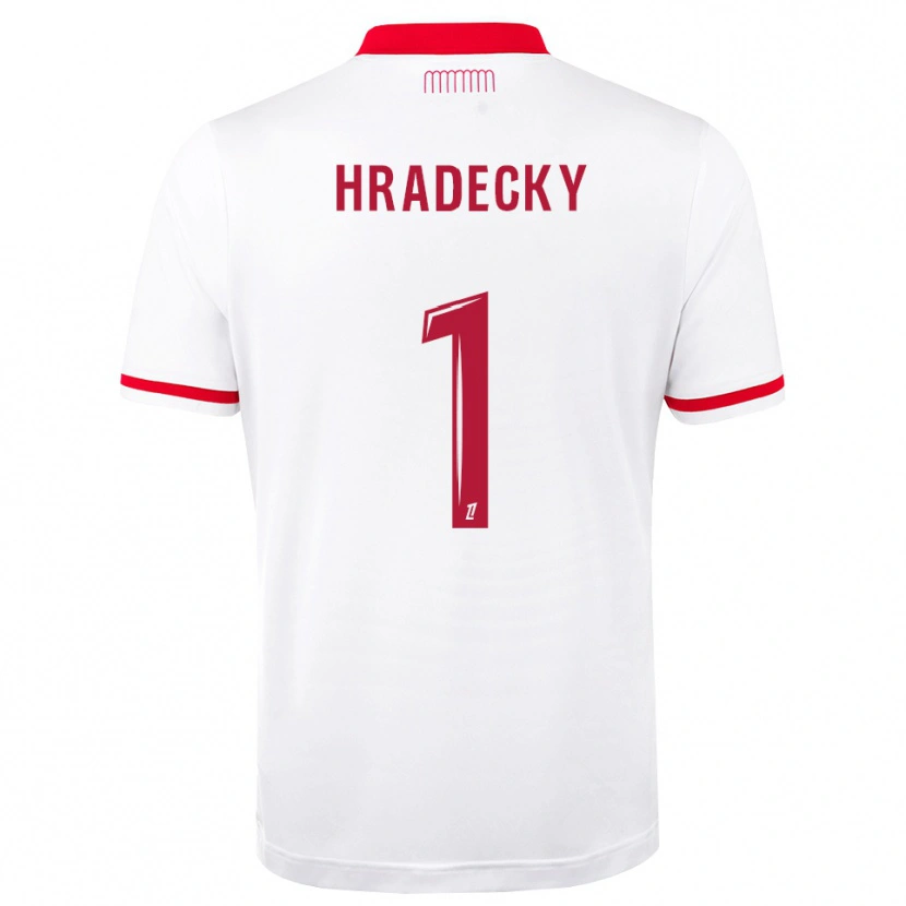 Danxen Homem Camisola Lukas Hradecky #1 Vermelho Branco Principal 2026/27 Camisa Brasil
