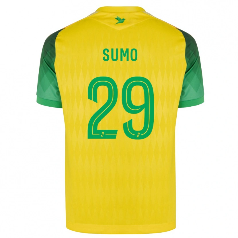Danxen Homem Camisola Eva Sumo #29 Amarelo Verde Vermelho Principal 2026/27 Camisa Brasil